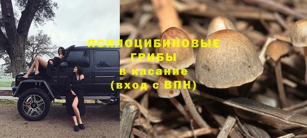 прущая мука Краснослободск